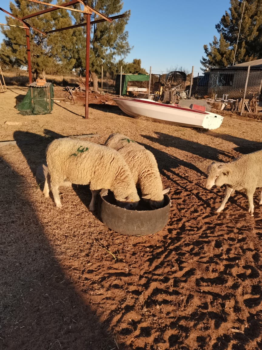 Commercial Property for Sale in Bultfontein Rural Free State